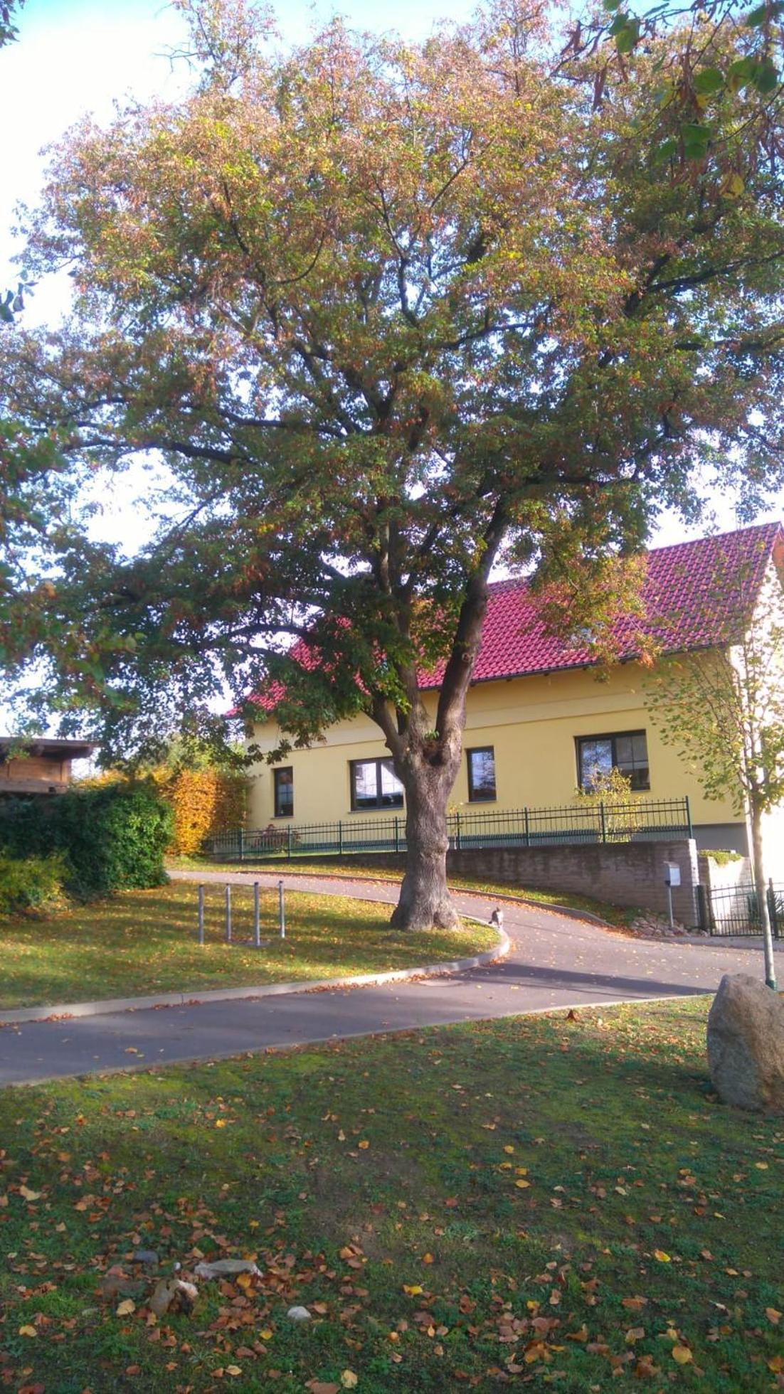 Ferienwohnung Perlitz Petersdorf  Extérieur photo